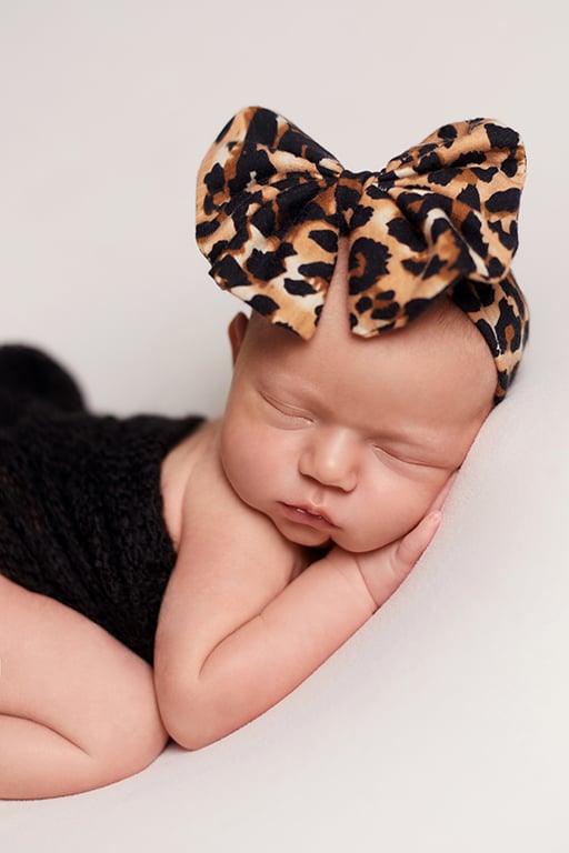 Baby Girl in Leopard Bow for girl in Nashua, New Hampshire